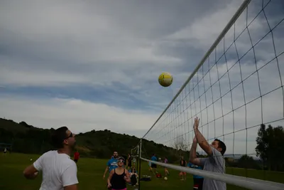 DSC_1474 (Large).JPG